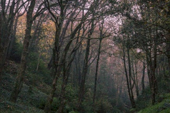 Dark Desire Season 3