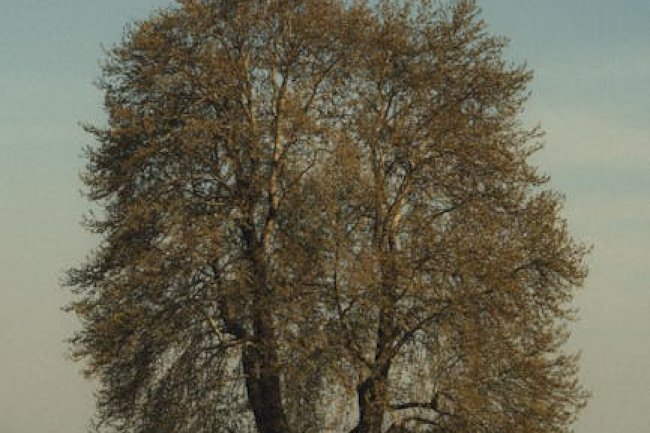 Locke and Key Season 4