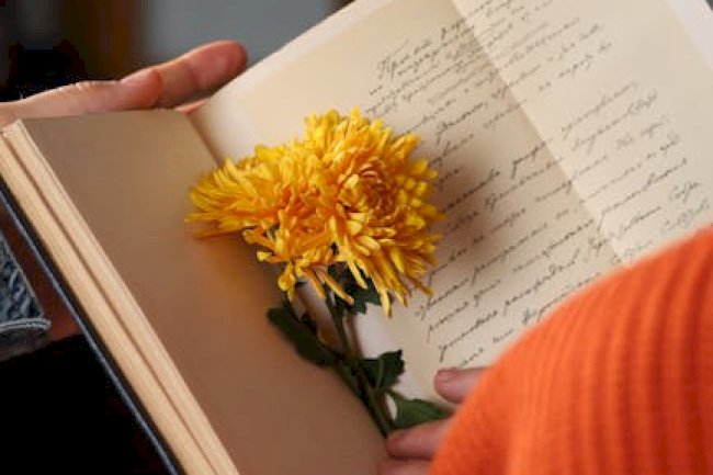 The OA Final Chapter