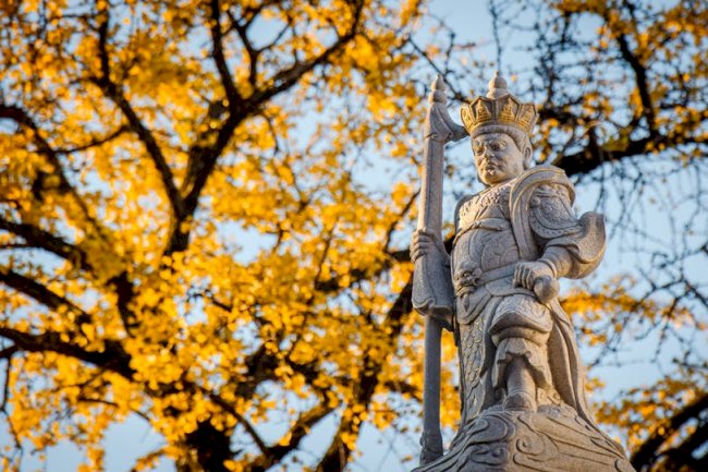 Warrior Nun Season 3