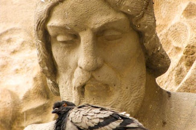 Bird Box Barcelona 2 Netflix Original Movie