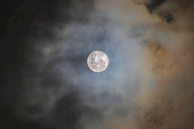 Rebel Moon Part 2 Review