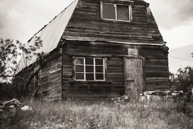 All Quiet on the Western Front Review