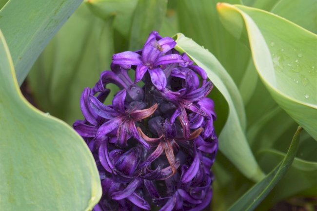 Hidden Gem Movies Netflix