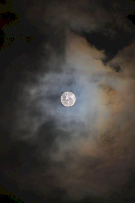 Rebel Moon Part 2 Review