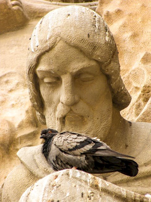 Bird Box Barcelona Review