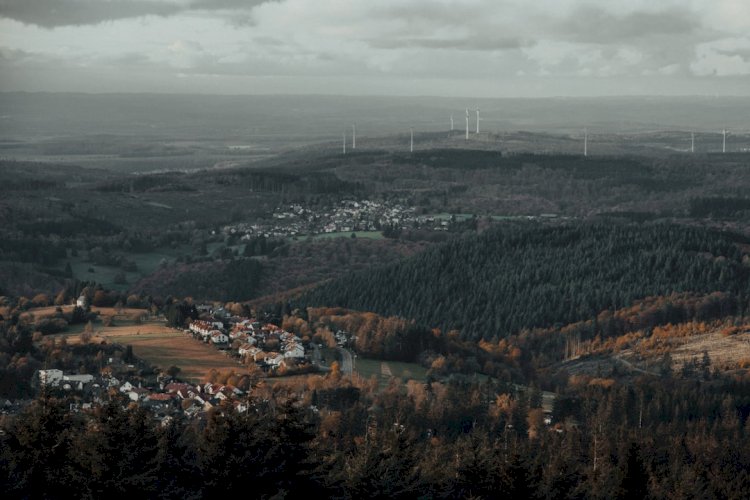 Alice in Borderland Netflix Review